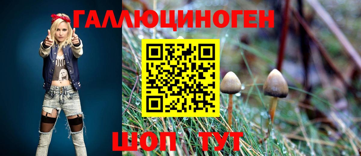Галлюциногенные грибы Psilocybe  купить наркоту  Бугуруслан  Вход с VPN 